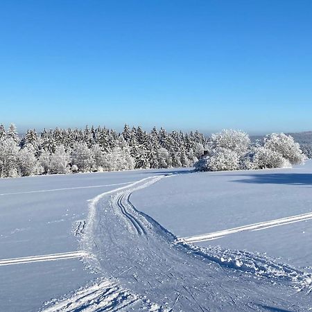 Žďár nad Sázavou Veselicko 44ヴィラ エクステリア 写真