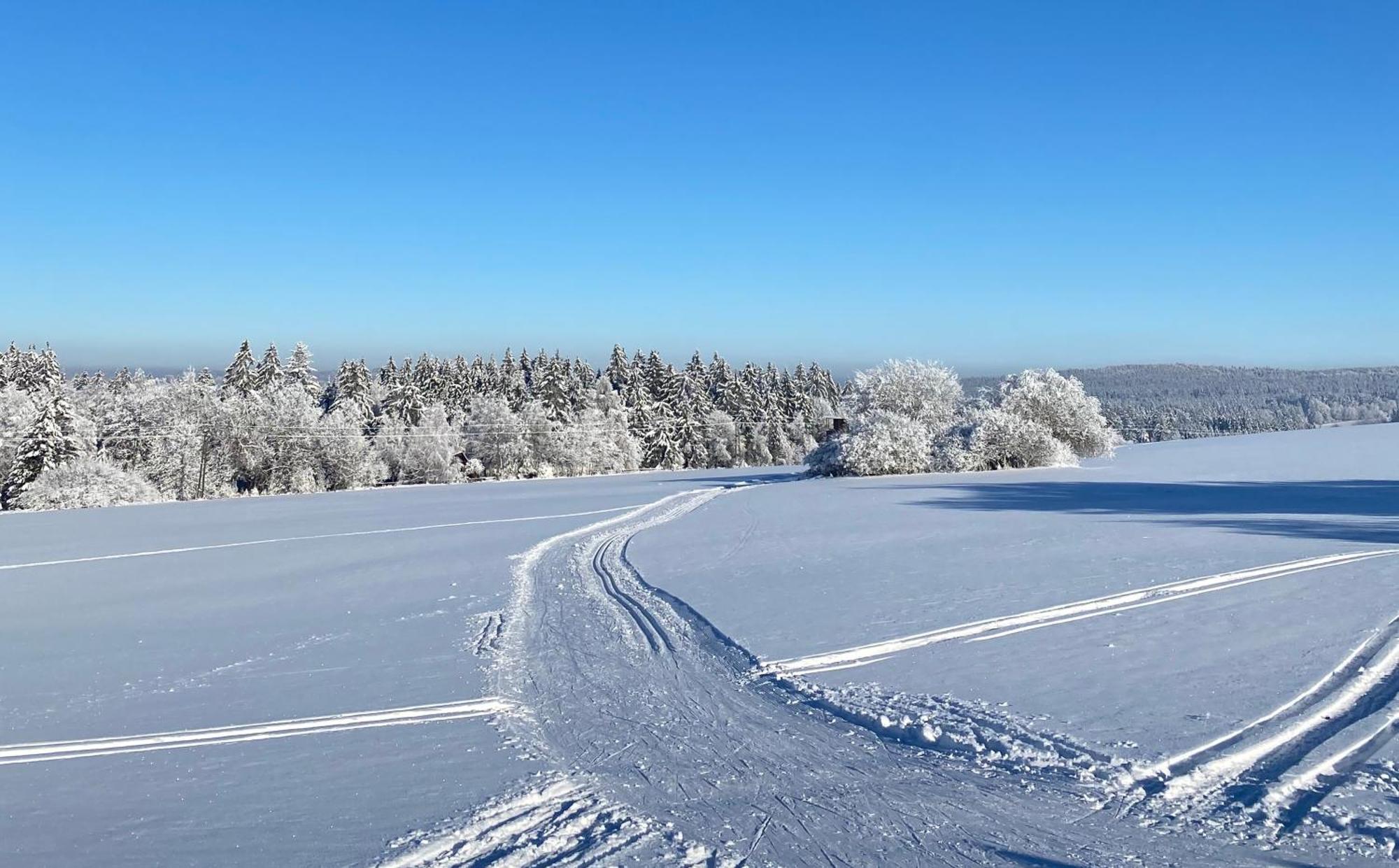 Žďár nad Sázavou Veselicko 44ヴィラ エクステリア 写真